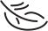 Feather icon