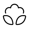 Cotton icon