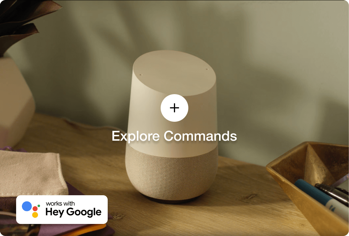 Image of a Google Home