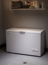 Chest freezer inside a garage