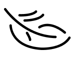 Feather icon
