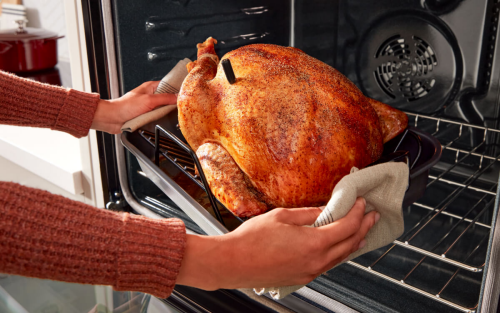Someone pulling a crispy, golden turkey out of an oven