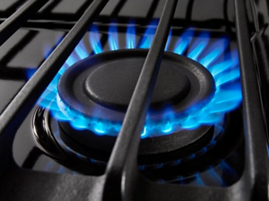 Close up of a blue gas stovetop burner flame