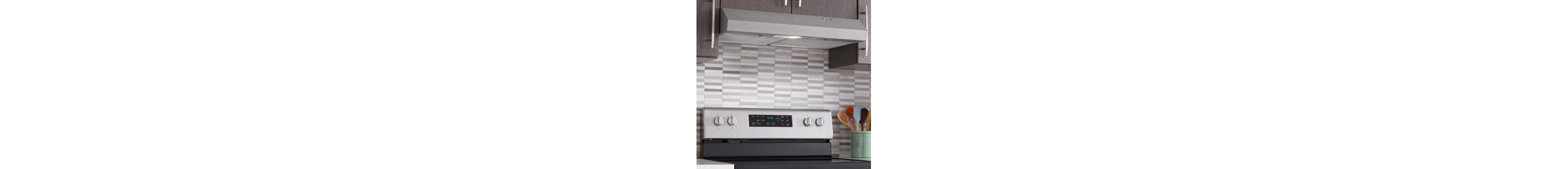 Electric range and stainless steel range hood