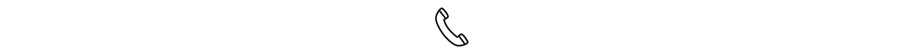 Phone icon