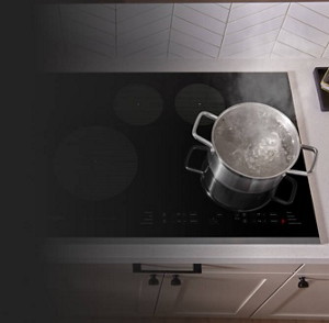 A pot of water boiling on an induction cooktop