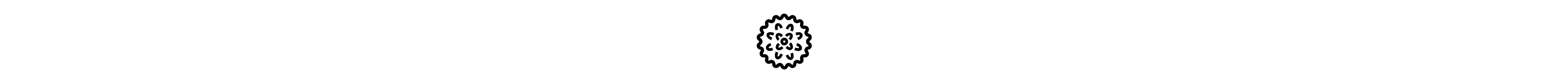 Dryer ball icon