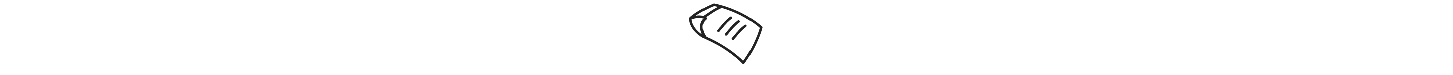Care label icon